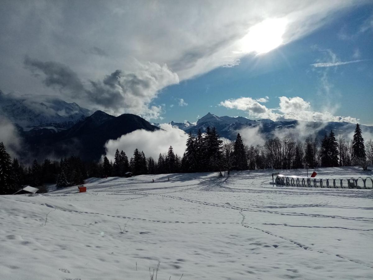 Apartament Mont Etape , F2, 42 M2, Calme, Vue Mt Blanc Passy  Zewnętrze zdjęcie