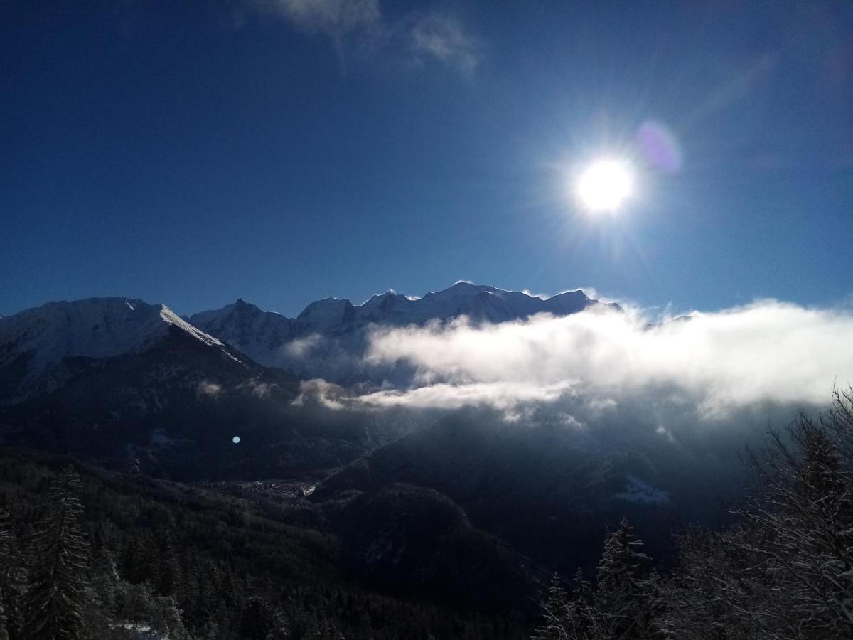 Apartament Mont Etape , F2, 42 M2, Calme, Vue Mt Blanc Passy  Zewnętrze zdjęcie